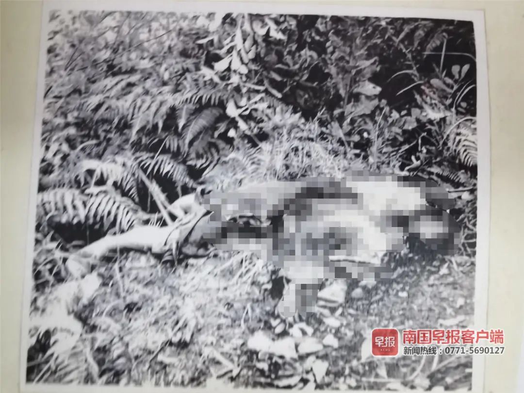 ▲案发现场照片。田林公安供图