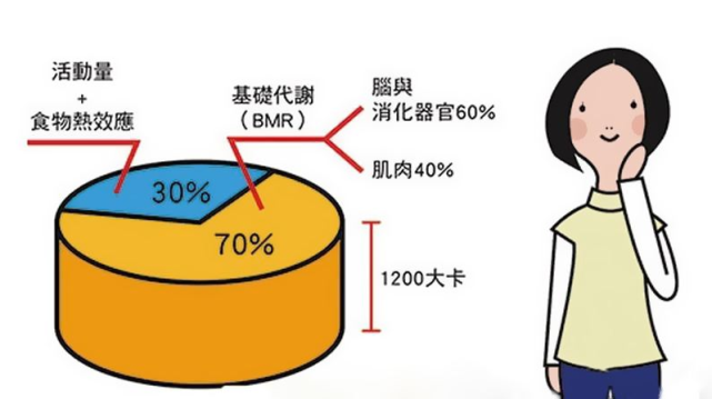 教你幾招,提高基礎代謝,讓你躺著就能瘦!