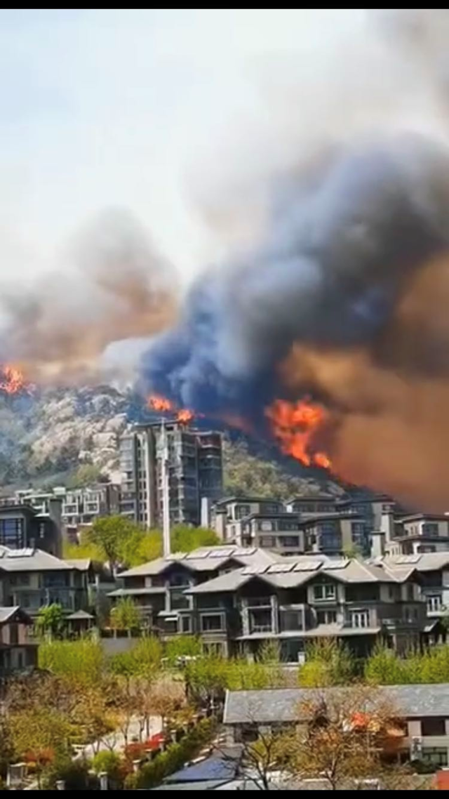 青岛小珠山山火复燃,火势附近小区物业通知居民撤离
