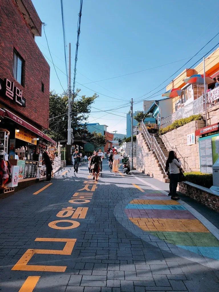 大邱本是樱花盛开时