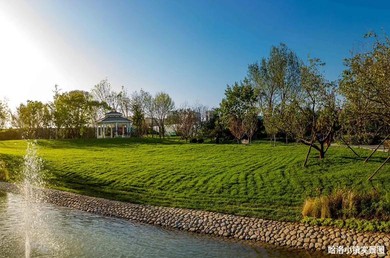 水韵清心,园境怡情丨哈洛小镇不负美景不负卿