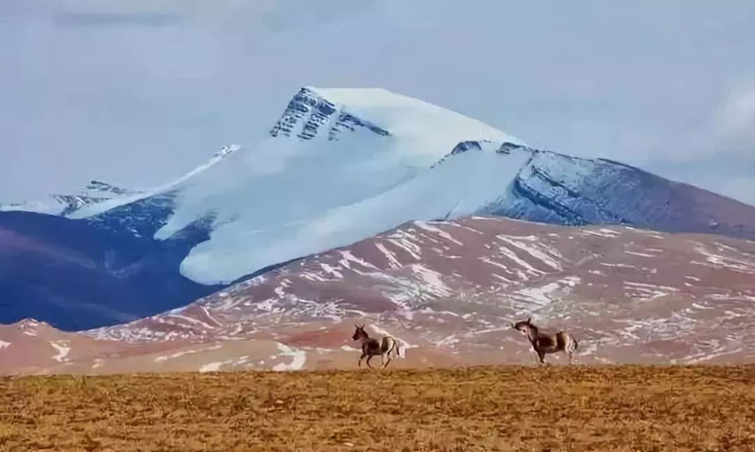 世界七大无人区,除了羌塘和可可西里,你还听说过哪个?__凤凰网