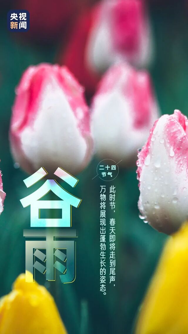 春歸穀雨,夏至未至