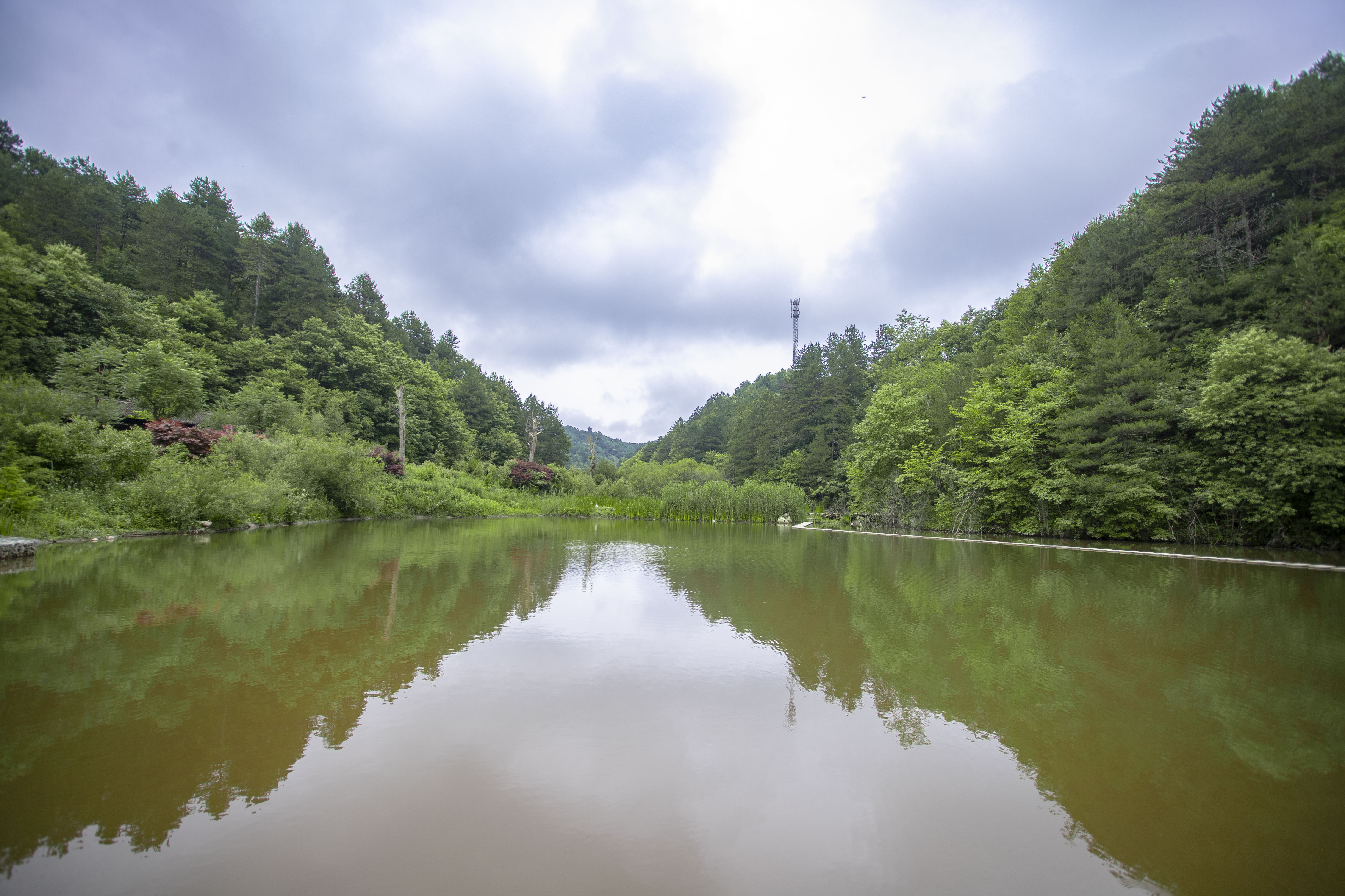 中國秦嶺悠然山高山溼地景區位於終南山脈南部中段,生態環境優良,物種