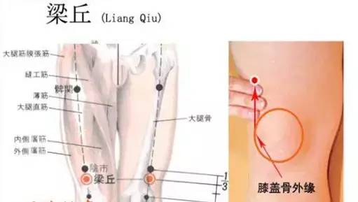 梁丘穴 膝肿痛 下肢不遂 胃痛 凤凰网健康 凤凰网
