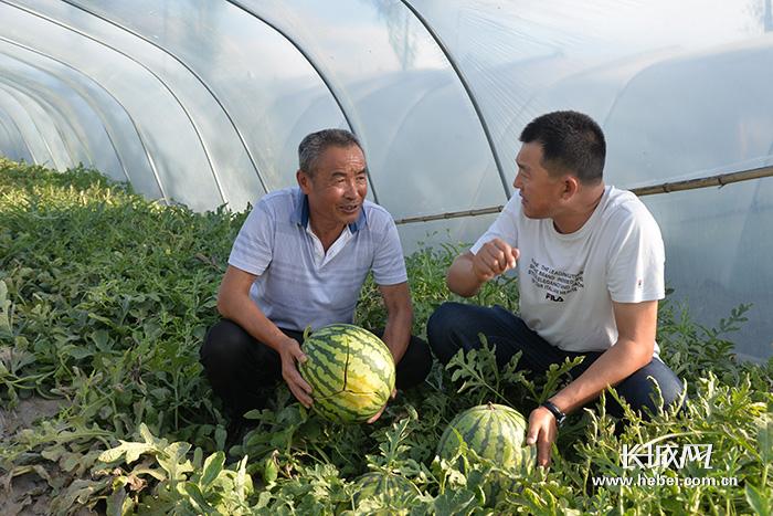 封面故事丨张士冬:靠实干 引领致富路