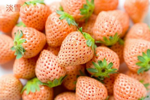 准妈妈吃草莓:还在用盐水果蔬清洗剂洗草莓?世卫说,该这样洗