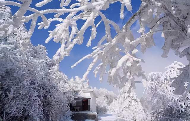 踏雪南嶽衡山,打卡霧凇仙境