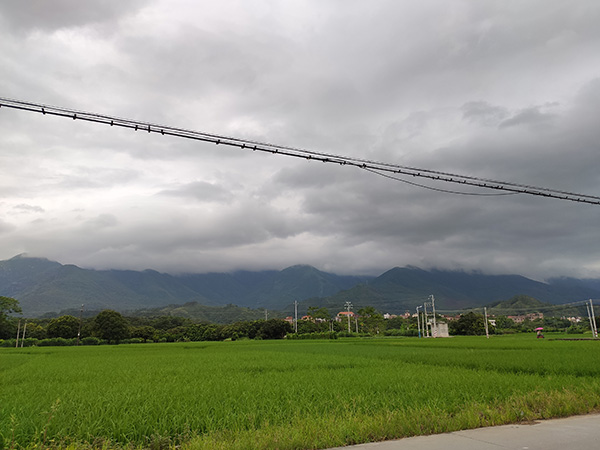 云潭镇到阿慧家的路上,两边都是田野和山。