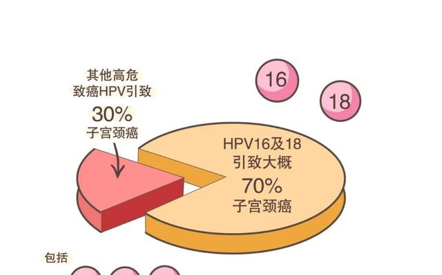 hpv可以喝酒吗 凤凰网
