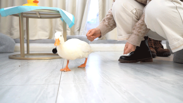 640_360gif 动态图 动图