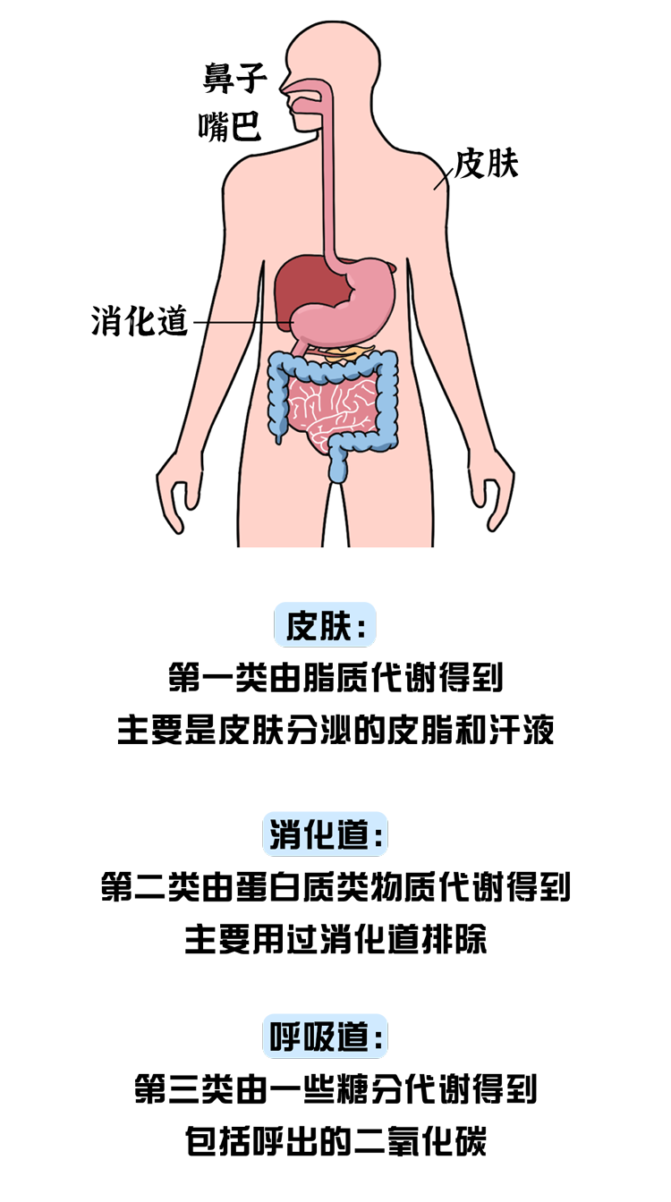 排卵期的女性身上会发香我们采访了几位男性