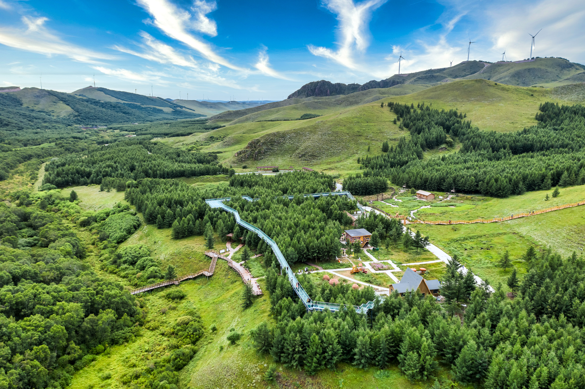 浪漫七夕旅游目的地,坝上七彩森林度假区等着你