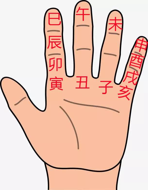 十二地支掌上简便记忆法