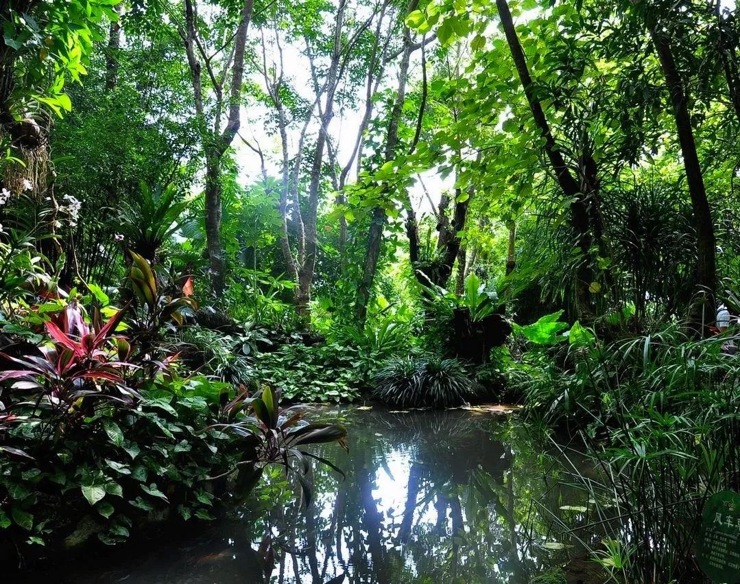 资讯| 三江源,海南热带雨林……这些国家公园要来了