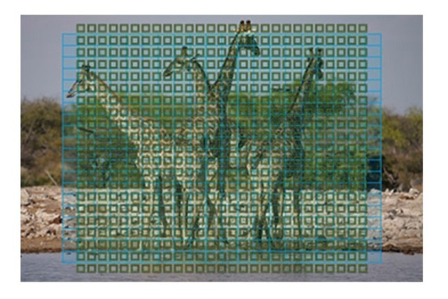 135画幅最高像素!索尼Alpha 7R IV评测