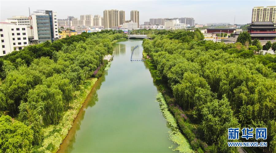 河北霸州着力打造都市公园