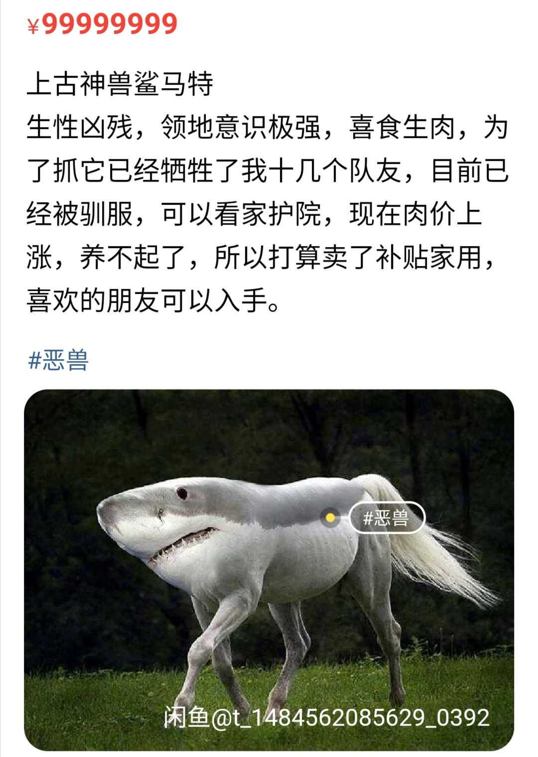 出售上古神兽,哭泣猫,隔壁老王:闲鱼上的都是人才哈哈哈!