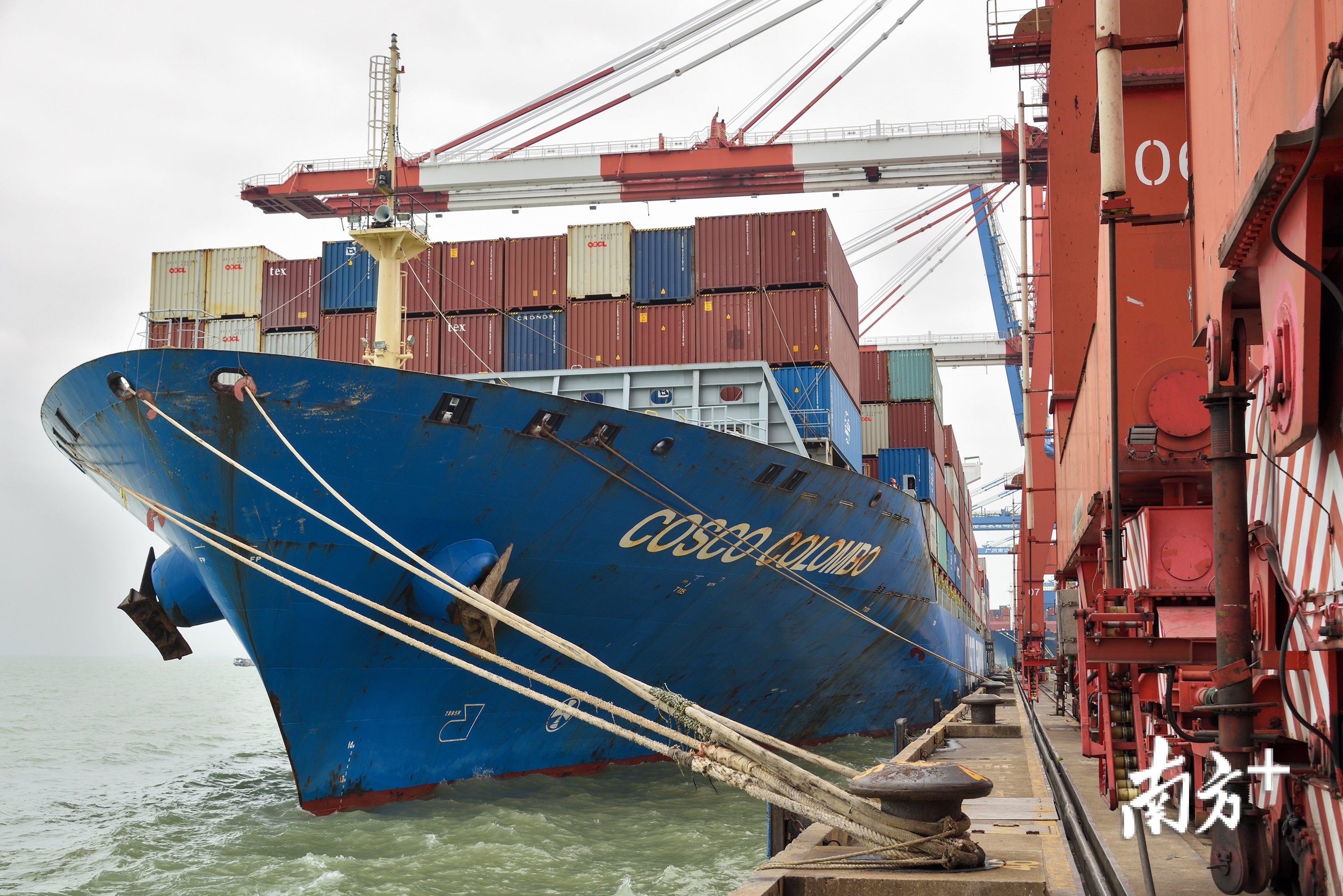 中亚班列货物首次从广州南沙出海打通出海物流新通道