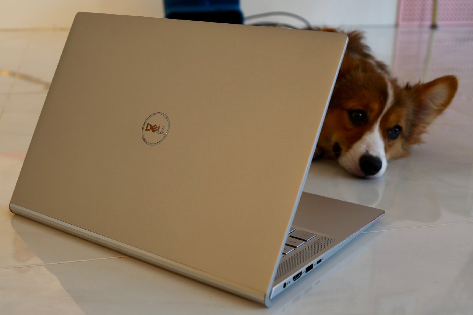 轻薄且强大,业内首款14.5英寸生产力戴尔灵越7400体验