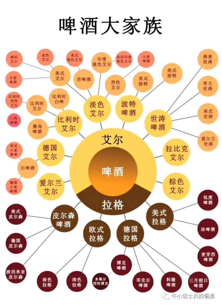 世界啤酒族谱电子版图片