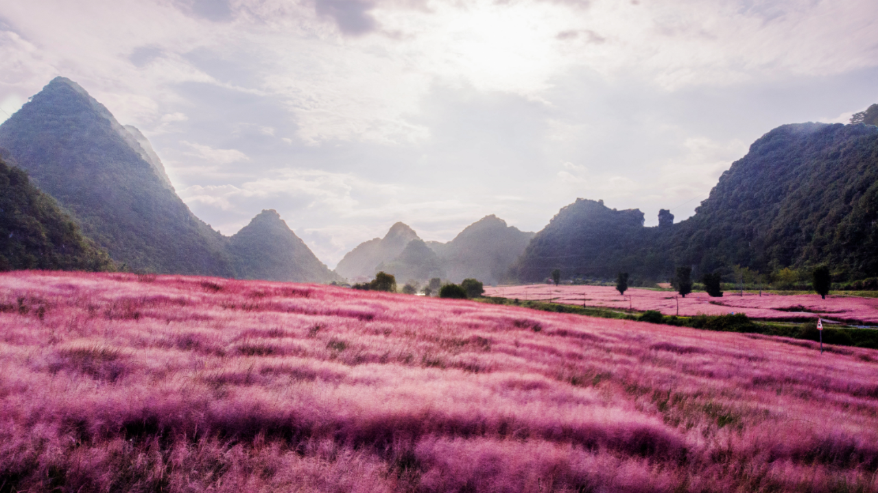 十里粉黛好风光秋游神泉正当时