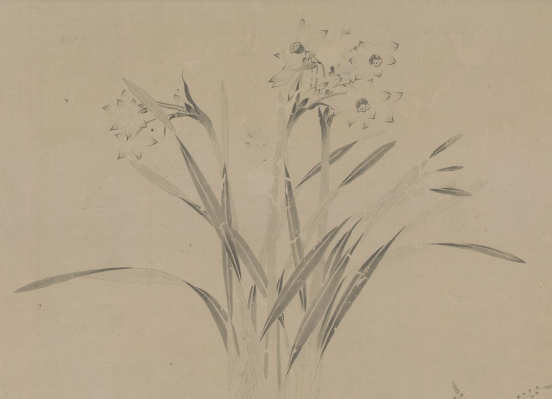 接下来, 一组历代极美的水仙图,与君共赏!