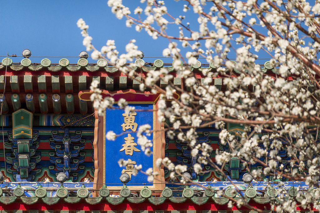 北京:春到景山美如画