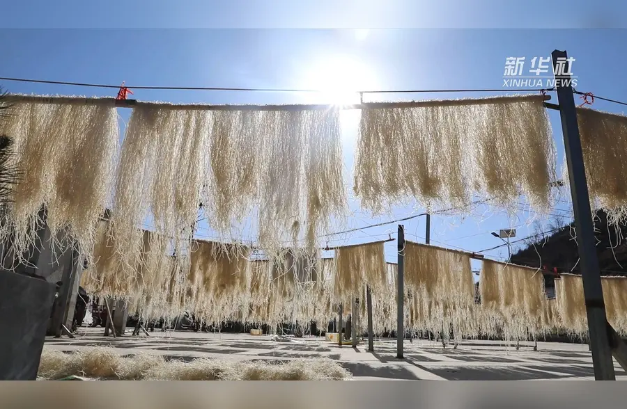 新春走基层｜河南卢氏：红薯粉条“铺”出脱贫致富路