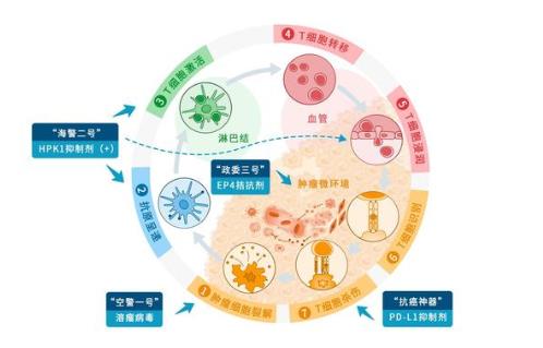 連線創始人阿諾醫藥路楊c藥戰略開啟腫瘤免疫療法30時代