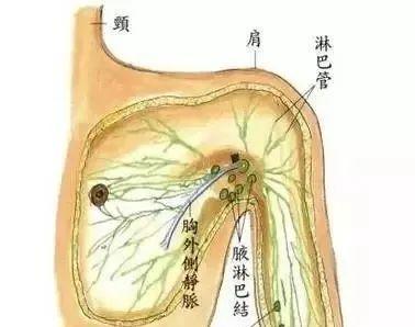 光神巴德尔如何用疏通全身淋巴