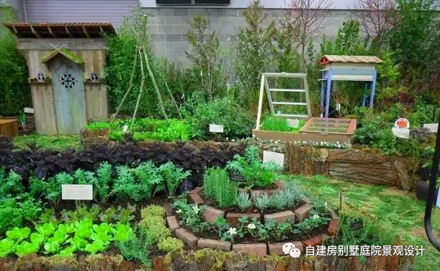 菜园怎样设计既美观又实用?设计师为您详细解读