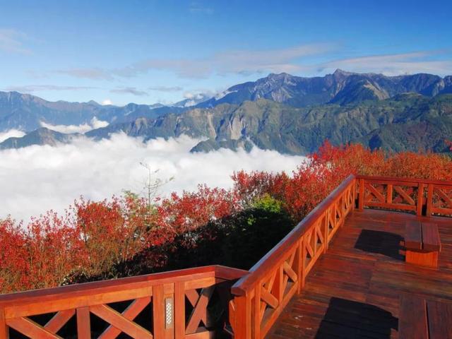 如果到了台湾,你一定要这么玩儿阿里山~__凤凰网
