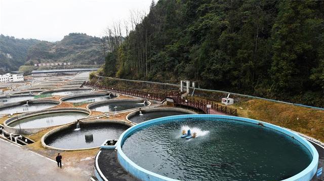 这是1月3日拍摄的贵州省江口县凯德小龙塘冷水鱼养殖基地.