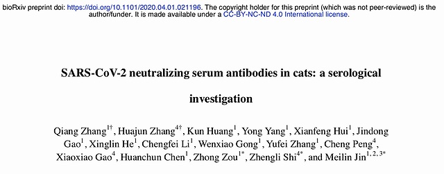 石正丽等人新研究：武汉的猫群感染新冠，可能由人传播