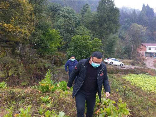 战疫复产两不误—记四川省万源市曾家乡花红湾村第一书记曹文干