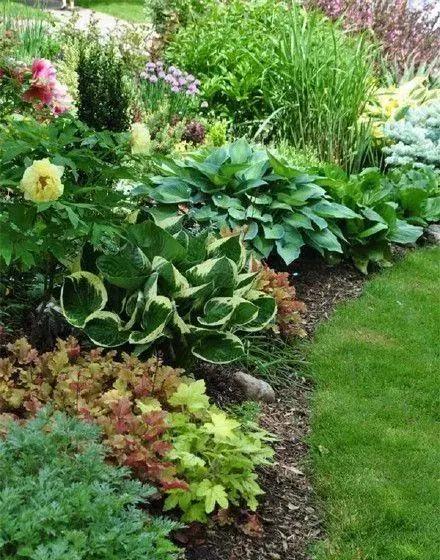 6个方法搭配庭院花草,每天都像在仙境