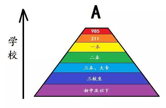 他們都曾是大學生,現在都已就業,從事不同崗位.