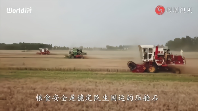 世界粮食日：维护全球粮食安全，各国休戚与共