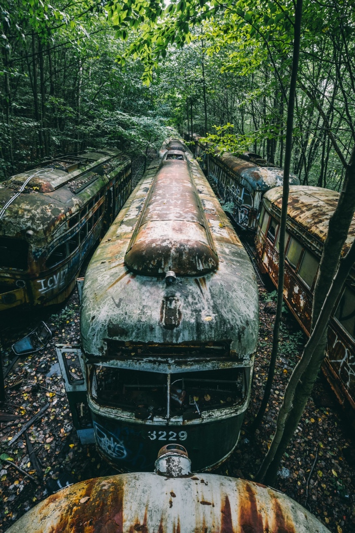 2017年,森林中的火车墓地.