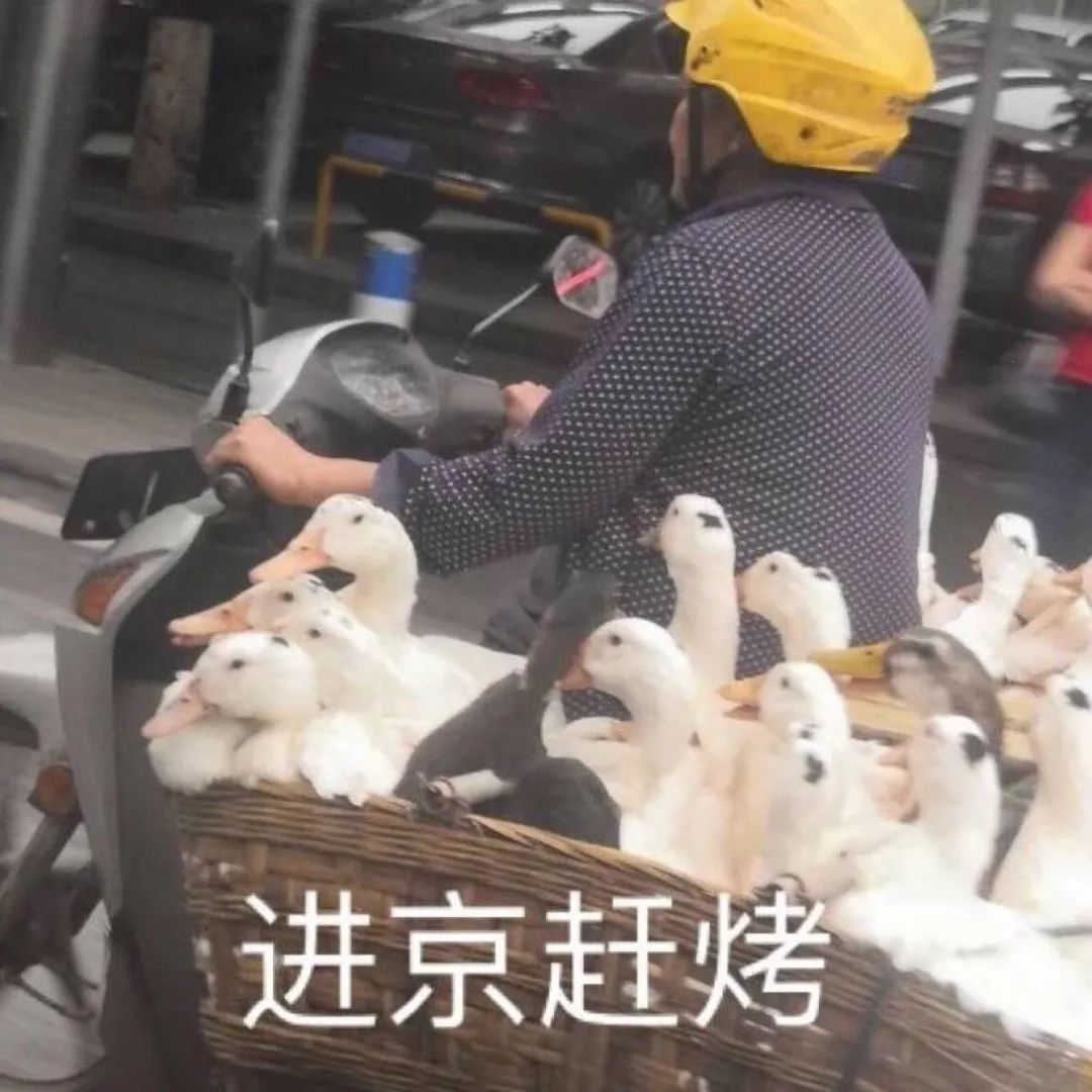 注意蒸煮套餐即将到货但更难熬的是