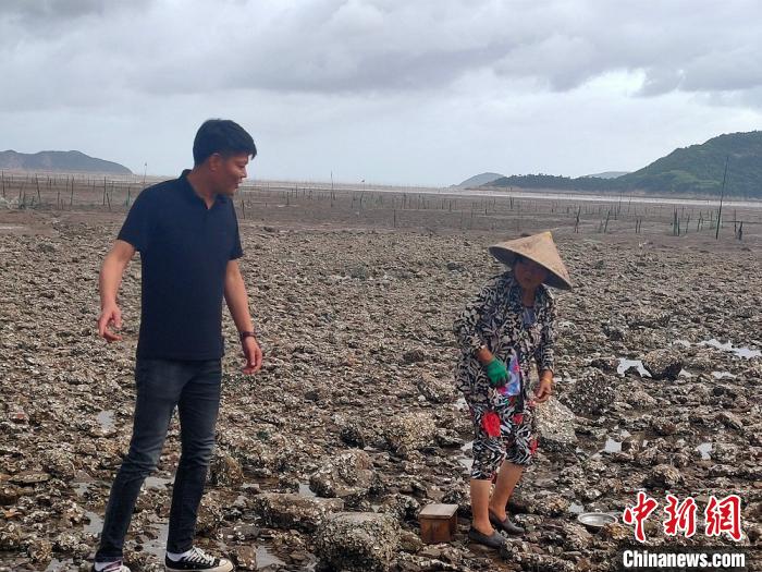 苍南县大渔镇工作人员劝回在海边采牡蛎的村民。 大渔镇供图 摄