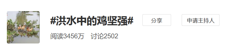 洪水中的“鸡坚强”上热搜,网友却笑不出来了…