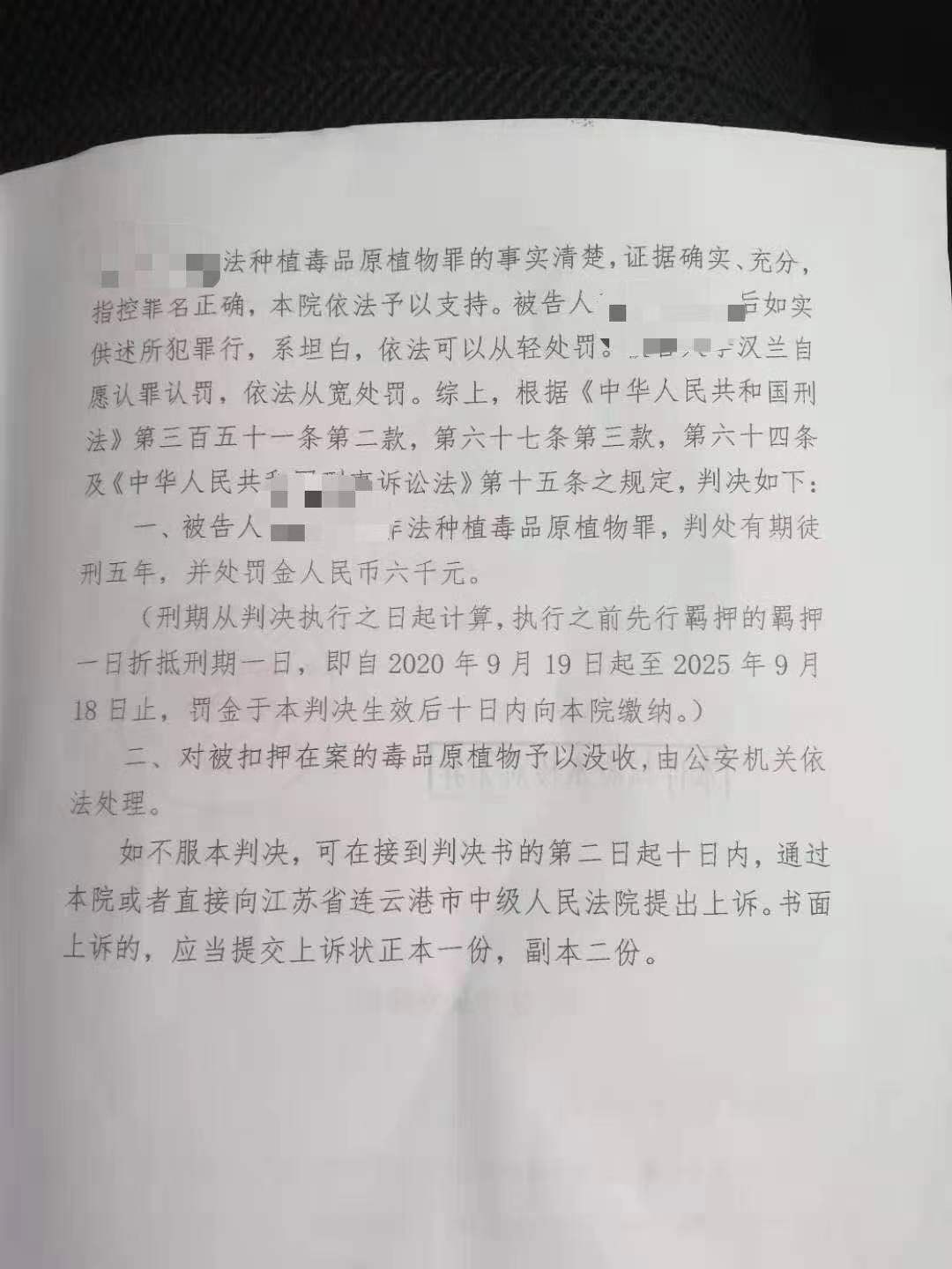 李某兰一案的判决结果 受访者家属供图