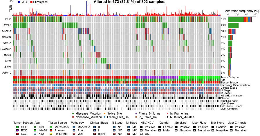 asco中国之声赵海涛教授基于中国胆道肿瘤患者基因图谱的伞式精准治疗