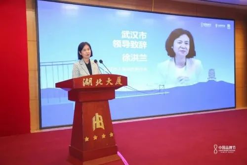 武汉女副市长任上被拿下 疫情期间多次参加发布会