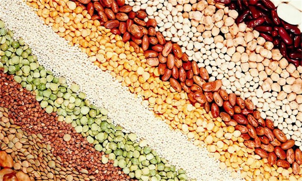 酿酒设备厂家什么酿酒原料是最适合酿造白酒的