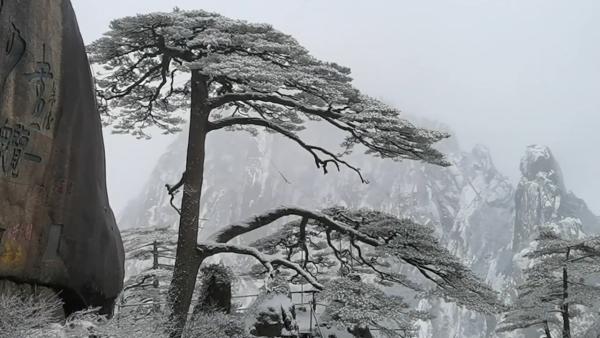 皑皑白雪铺遍山峦，雪后黄山宛如童话世界