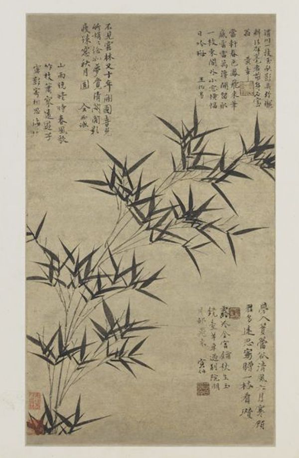 故宫六百年鉴赏⑫|文同倪瓒等宋元名家写竹:淡墨挥扫见逸格_凤凰网