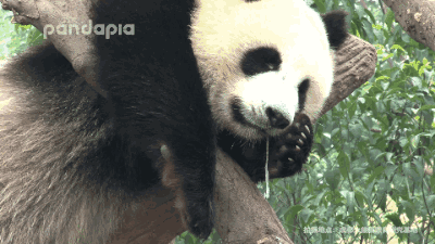 停!……会有一种蠢蠢欲动的欲望,似乎就要喷涌而出.